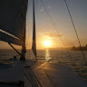 Meet your Posher, Donald